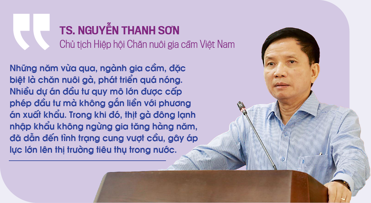 6PG88VN