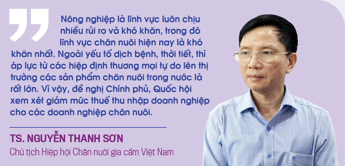 6PG88VN
