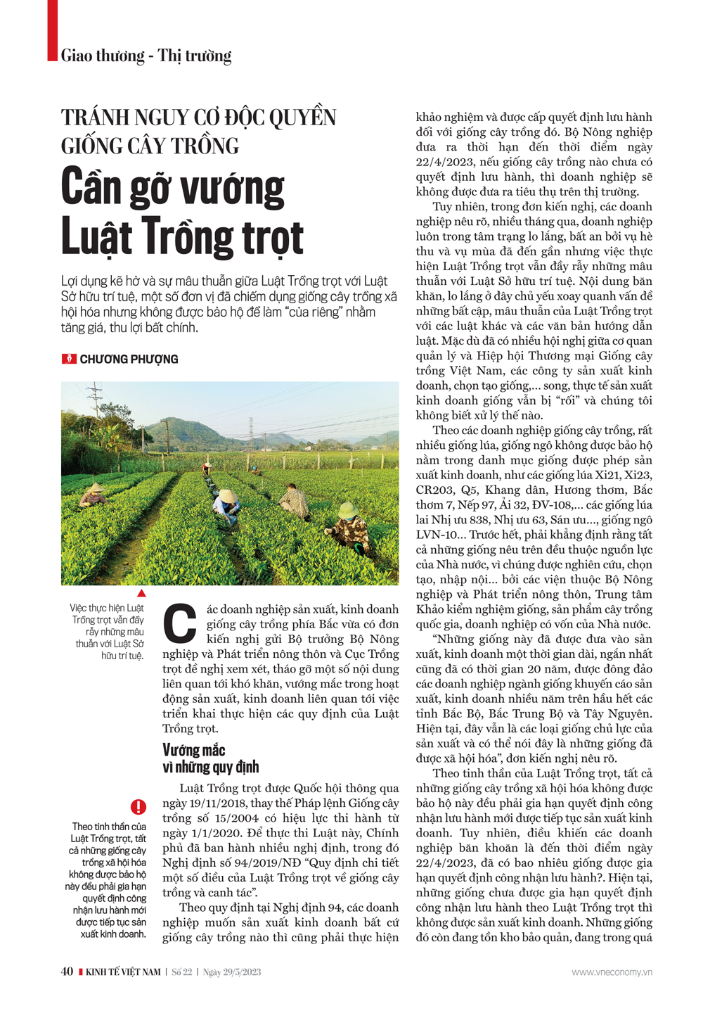 6PG88VN