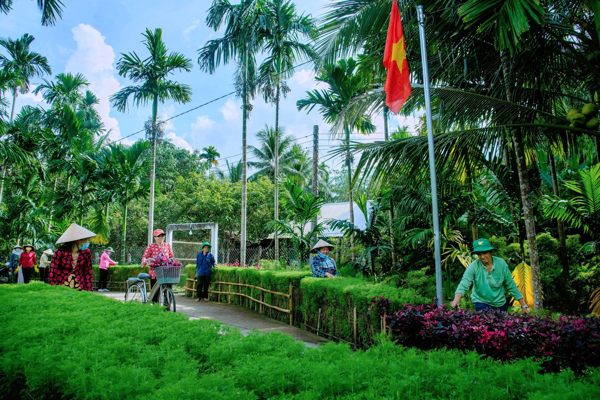 Ảnh minh họa.