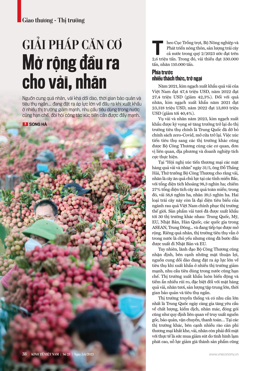 6PG88VN