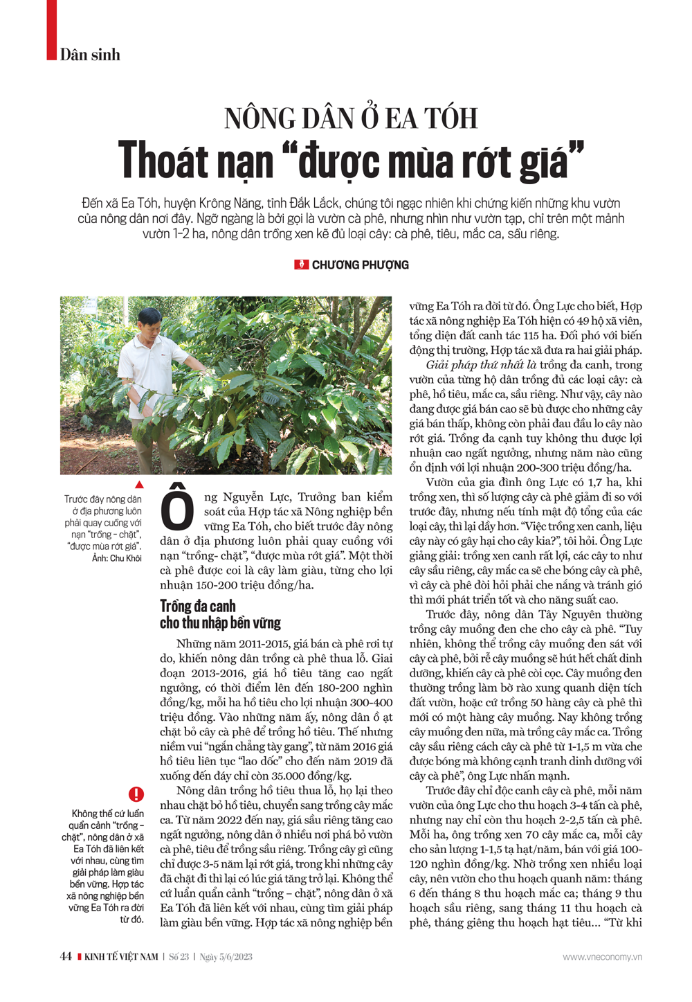 6PG88VN