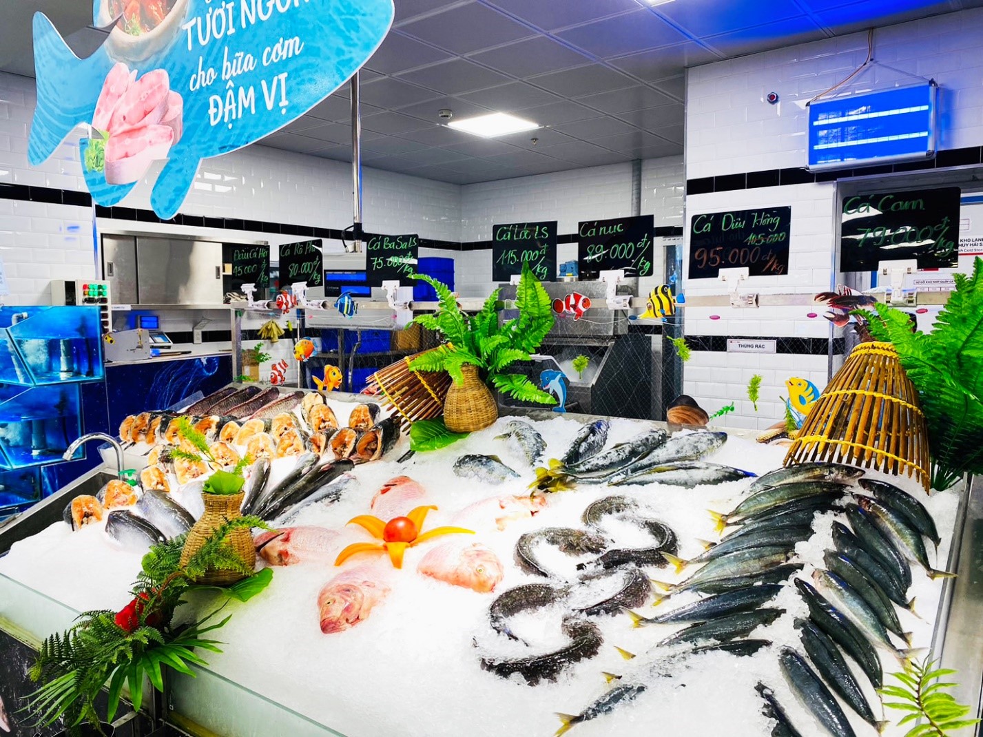 Giảm 11.500 đồng khi mua c&aacute; Saba Nauy phi l&ecirc; 250g tại Lotte Mart Online.
