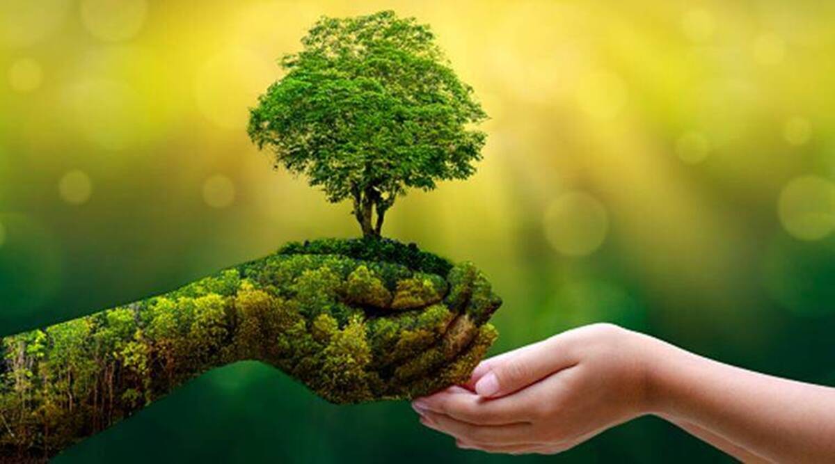 Hiện vẫn thiếu vắng cơ chế và tổ chức thẩm định, đánh giá rủi ro về môi trường xã hội và tiêu chí xanh của Link Trang Chủ PG88.Com Mới #2026.