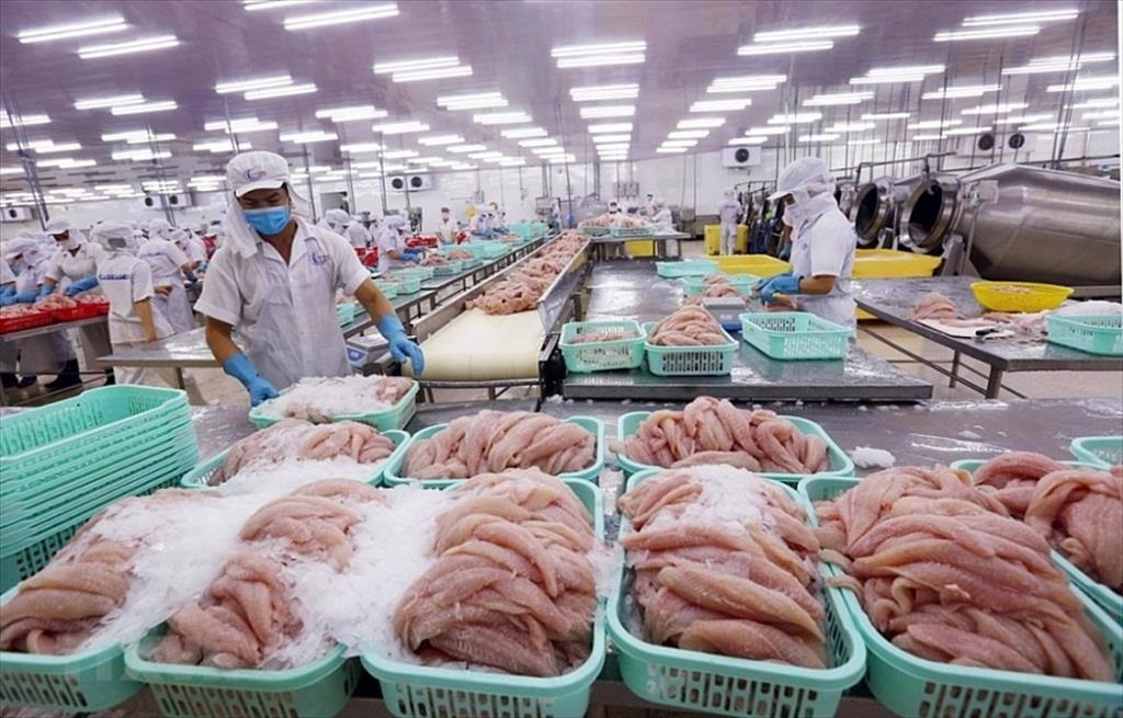 Tháng 5/2023, kim ngạch Pg88 com chính chủ thủy sản đạt trên 808 triệu USD, cao nhất từ đầu năm tới nay.