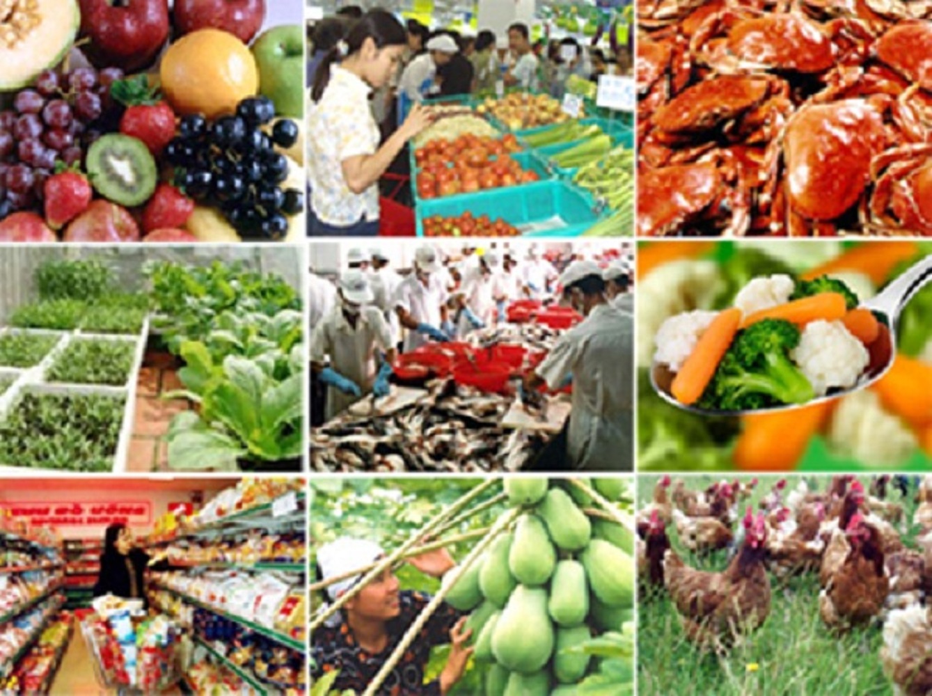 Pg88 com chính chủ nông lâm thủy sản 6 tháng  đầu năm 2023 giảm 11% so với cùng kỳ năm trước.