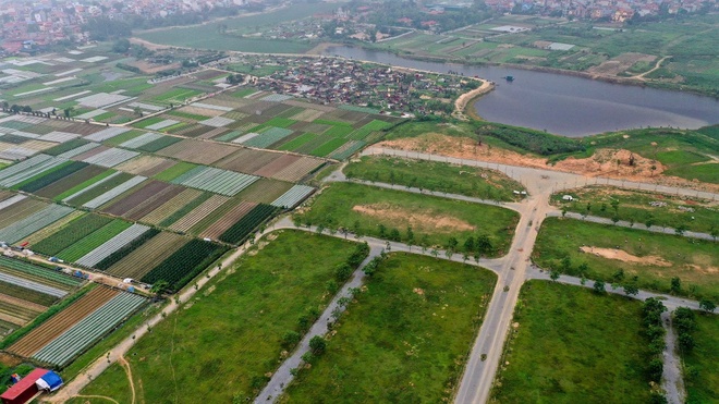 Ảnh minh họa.