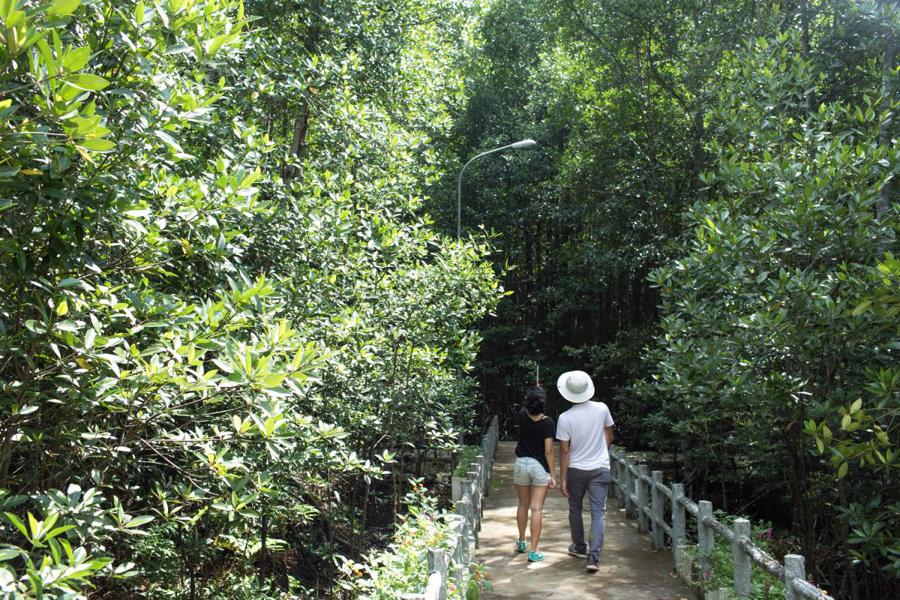 Cần Giờ&nbsp;c&oacute; nhiều điểm tham quan, du lịch c&aacute;ch biệt với khu d&acirc;n cư, được định hướng trở th&agrave;nh th&agrave;nh phố xanh, du lịch sinh th&aacute;i. Trong ảnh: Khu du lịch Rừng S&aacute;c, Cần Giờ.