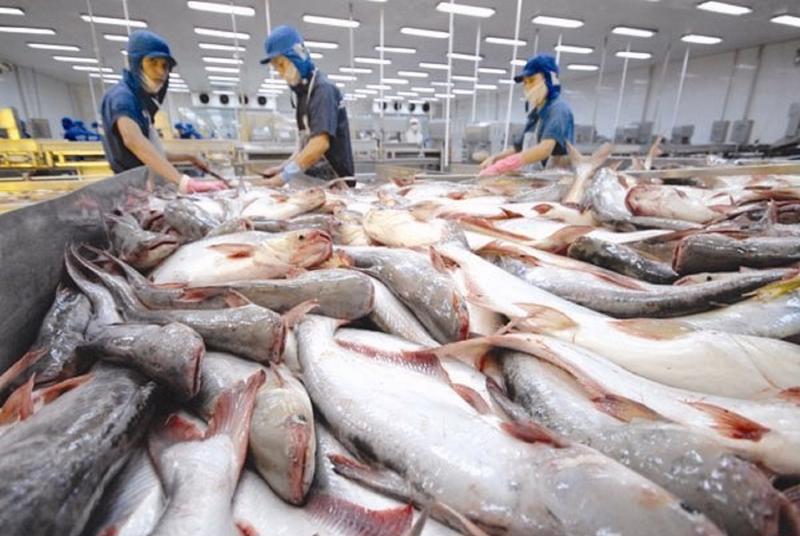 Lợi nhuận PG88 Link Dễ Nhớ Pg88.com cá tra sẽ cải thiện trong nửa cuối năm 2023