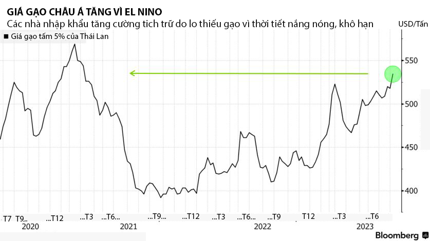 Nguồn:&nbsp;Hiệp hội C&aacute;c nh&agrave; Pg88vnd link khuyến  gạo Th&aacute;i Lan