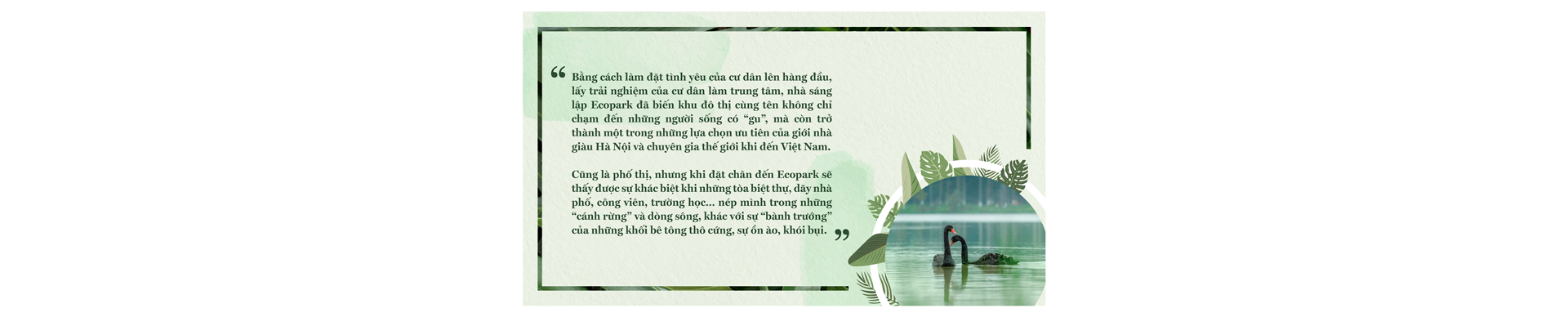 6PG88VN