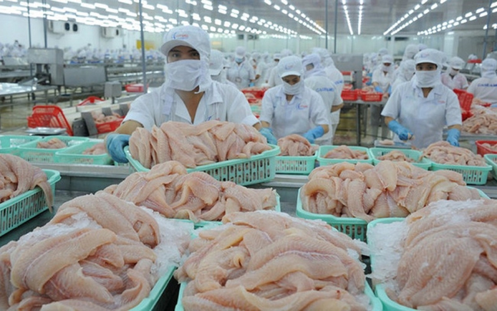 Pg88 com chính chủ thủy sản trông chờ vào những tháng cuối năm.