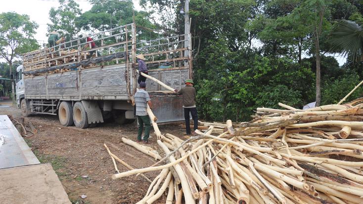 Trong quá trình phân tích dữ liệu chuỗi hóa đơn của 6Pg88.con độc quyền mỗi ngày đề nghị hoàn thuế, cơ quan thuế phát hiện nhiều điểm bất thường.