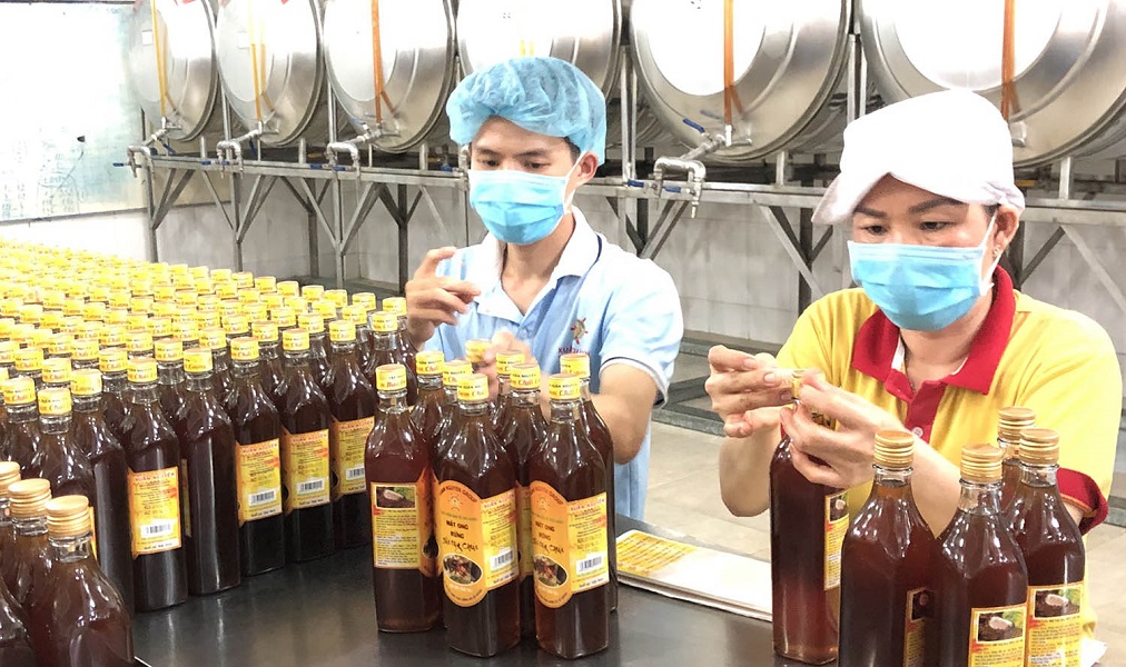 Kiểm soát chất lượng mật ong là yêu cầu “sống còn” để giữ thị trường Pg88vnd link khuyến 