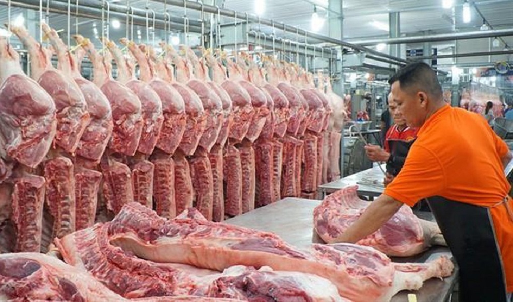 Sàn giao dịch thịt heo hình thành là giải pháp hữu hiệu giúp TP.HCM quản lý nguồn PG88 xổ số, casino, bóng đá từ các tỉnh, chuẩn hóa được đầu vào. Ảnh minh họa.