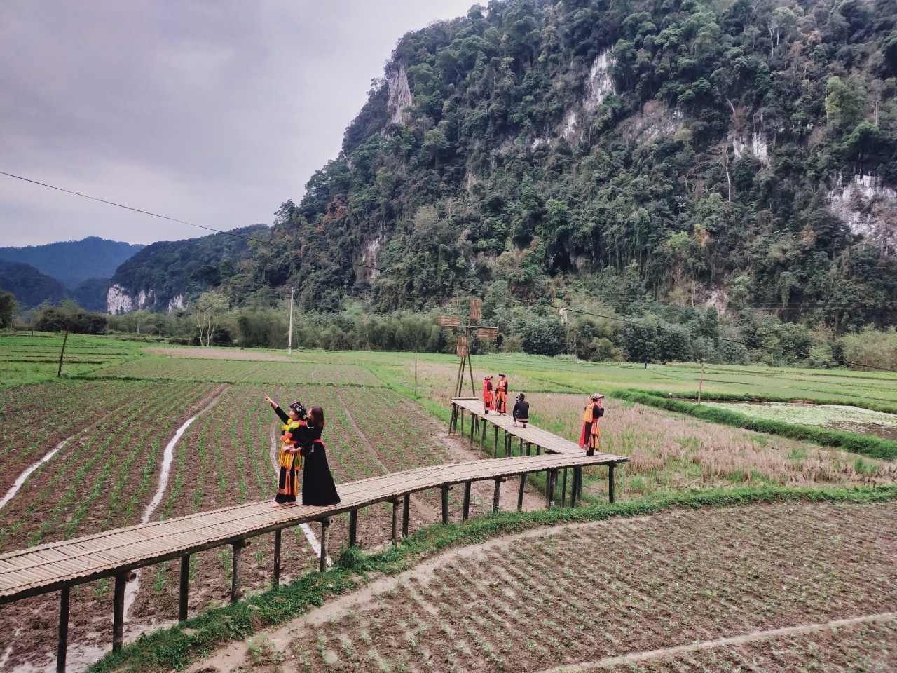 Tuy&ecirc;n Quang đặt mục ti&ecirc;u đến năm mỗi huyện, th&agrave;nh phố c&oacute; &iacute;t nhất 1 điểm du lịch n&ocirc;ng th&ocirc;n được c&ocirc;ng nhận gắn với lợi thế về n&ocirc;ng nghiệp.