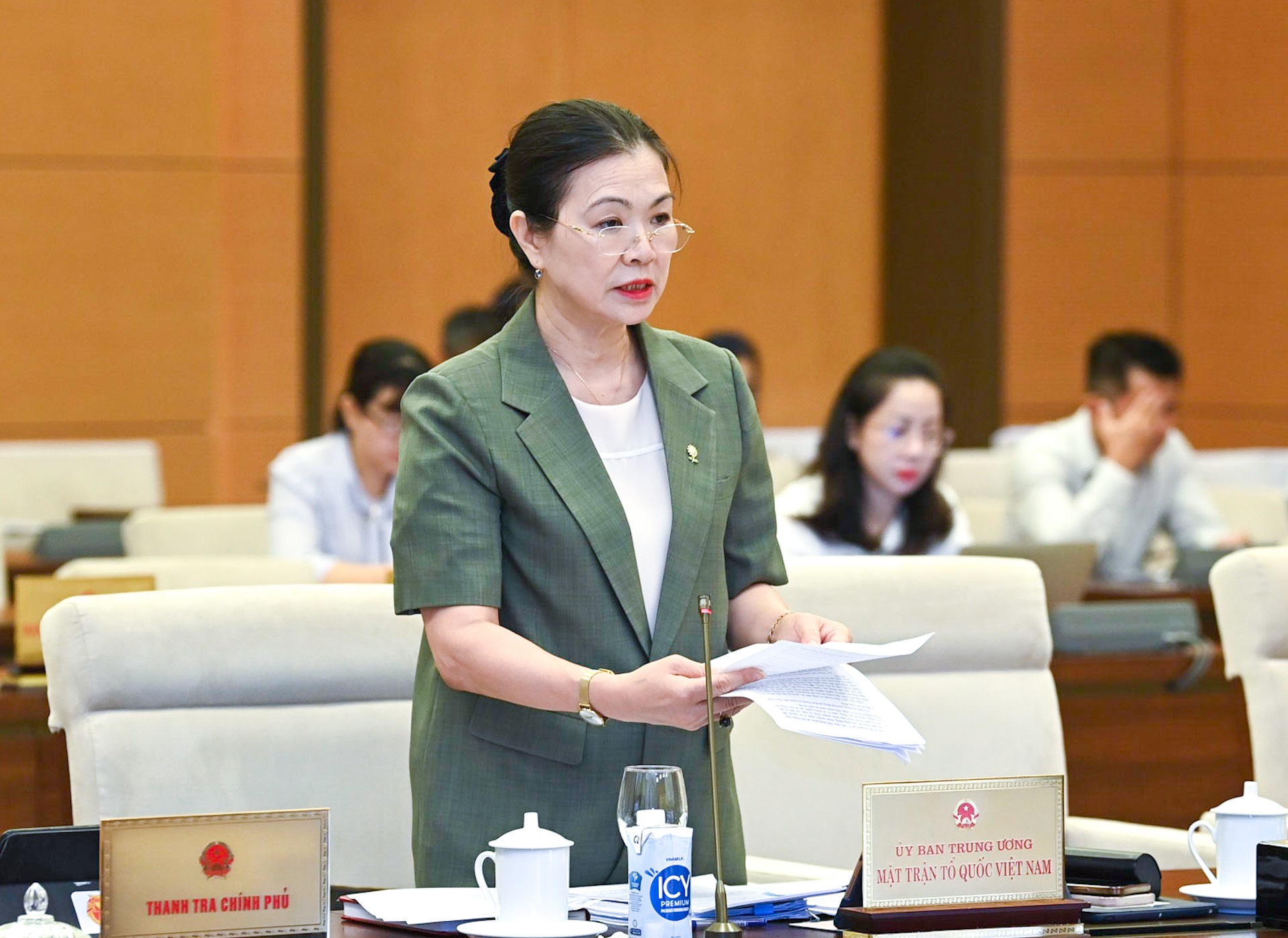 Ph&oacute; Chủ tịch Ủy ban Trung ương Mặt trận Tổ quốc Việt Nam Trương Ngọc &Aacute;nh b&aacute;o c&aacute;o tại phi&ecirc;n họp. Ảnh - Quochoi.vn.
