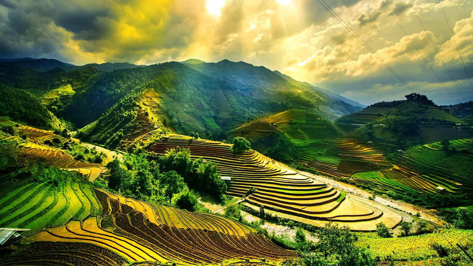 Ở miền Bắc, thay v&igrave; đi biển như dịp cao điểm h&egrave;, du kh&aacute;ch thường chọn c&aacute;c điểm đến gần v&agrave; c&oacute; xu hướng dịch chuyển về ph&iacute;a v&ugrave;ng n&uacute;i Đ&ocirc;ng - T&acirc;y Bắc.