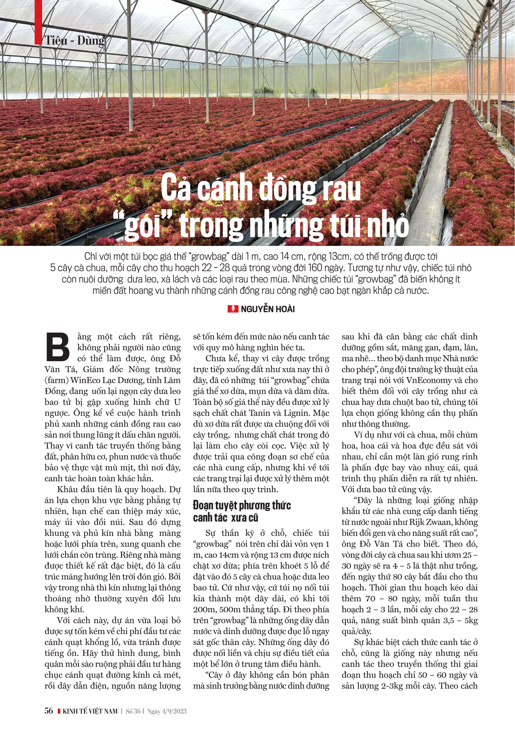6PG88VN