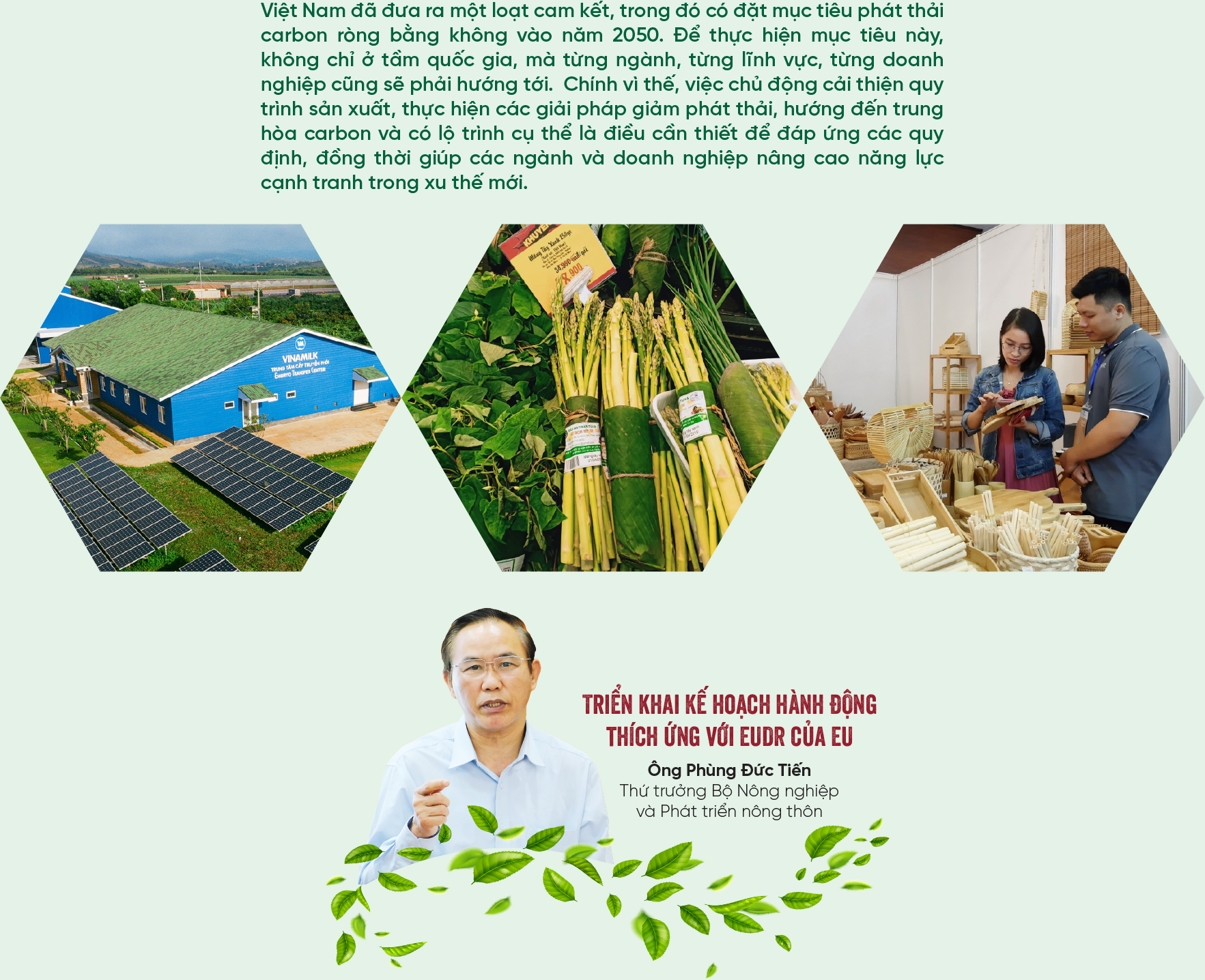 6PG88VN