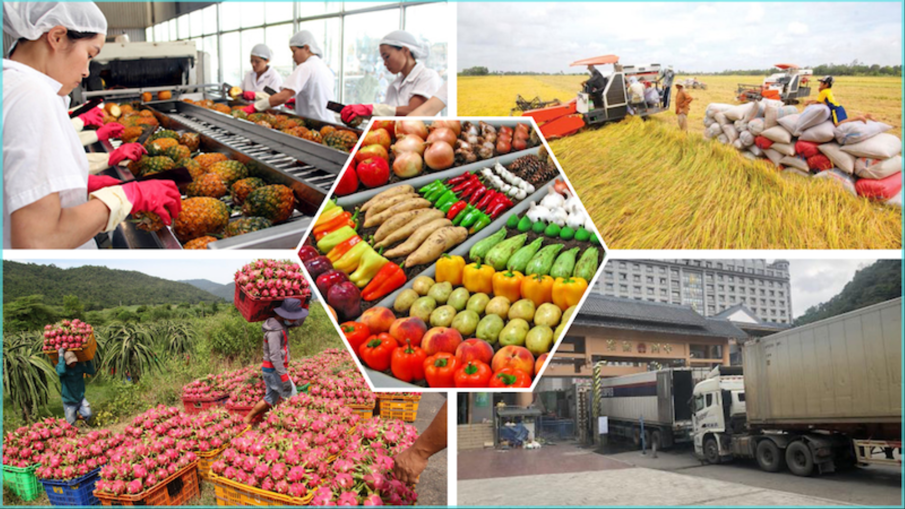 Pg88 com chính chủ nông lâm thủy sản quý 4 cần đem về 15,5 tỷ USD.