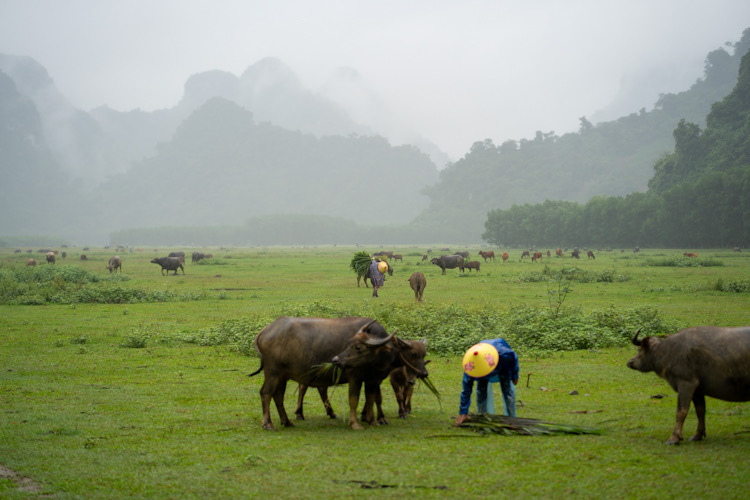 L&agrave;ng T&acirc;n ho&aacute; với vẻ đẹp hoang sơ