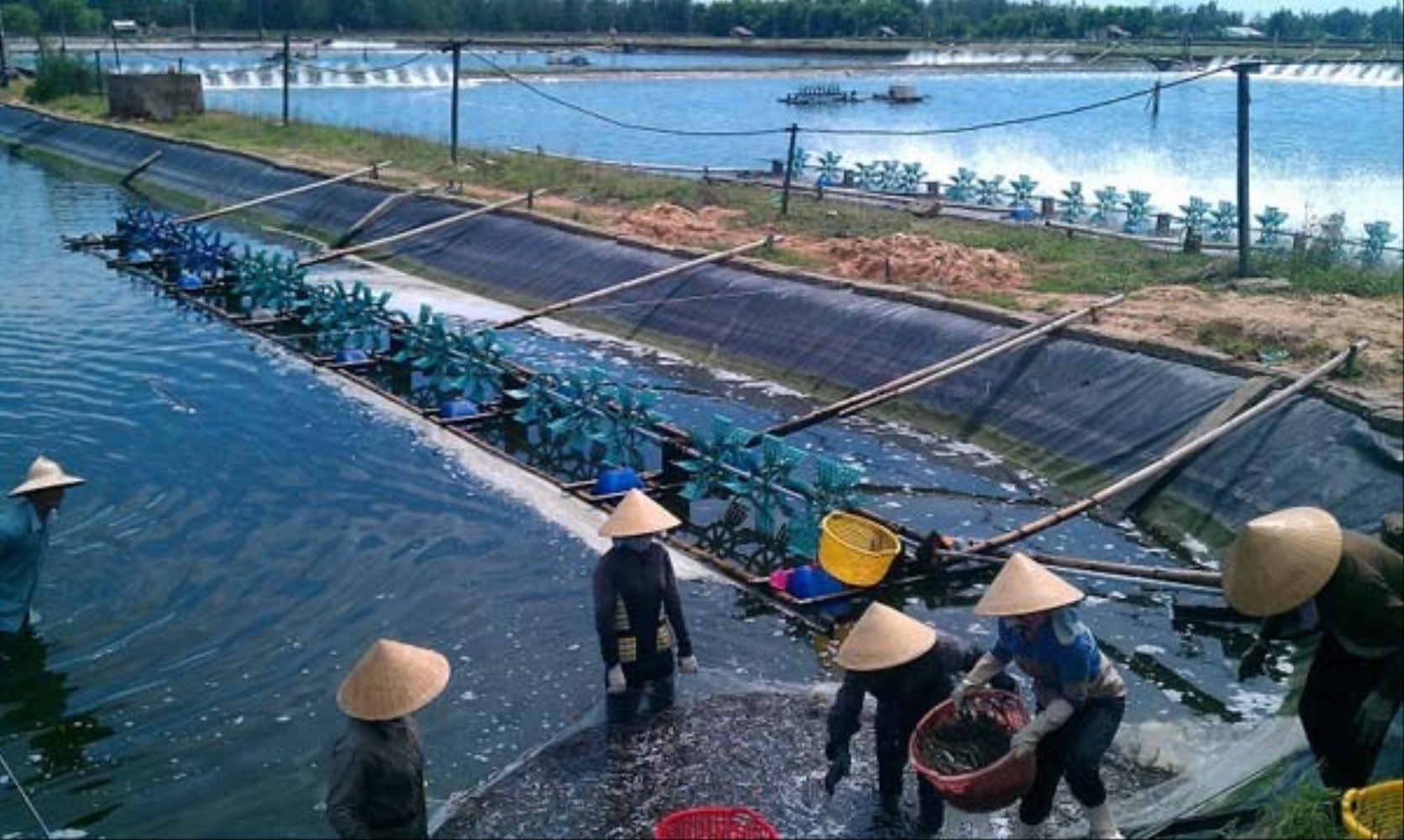 Khoa học Link Đăng Nhập PG88 Chính Thức 2026; đóng góp lớn vào sự PG88 hơn 2,1 triệu thành viên của ngành thủy sản.