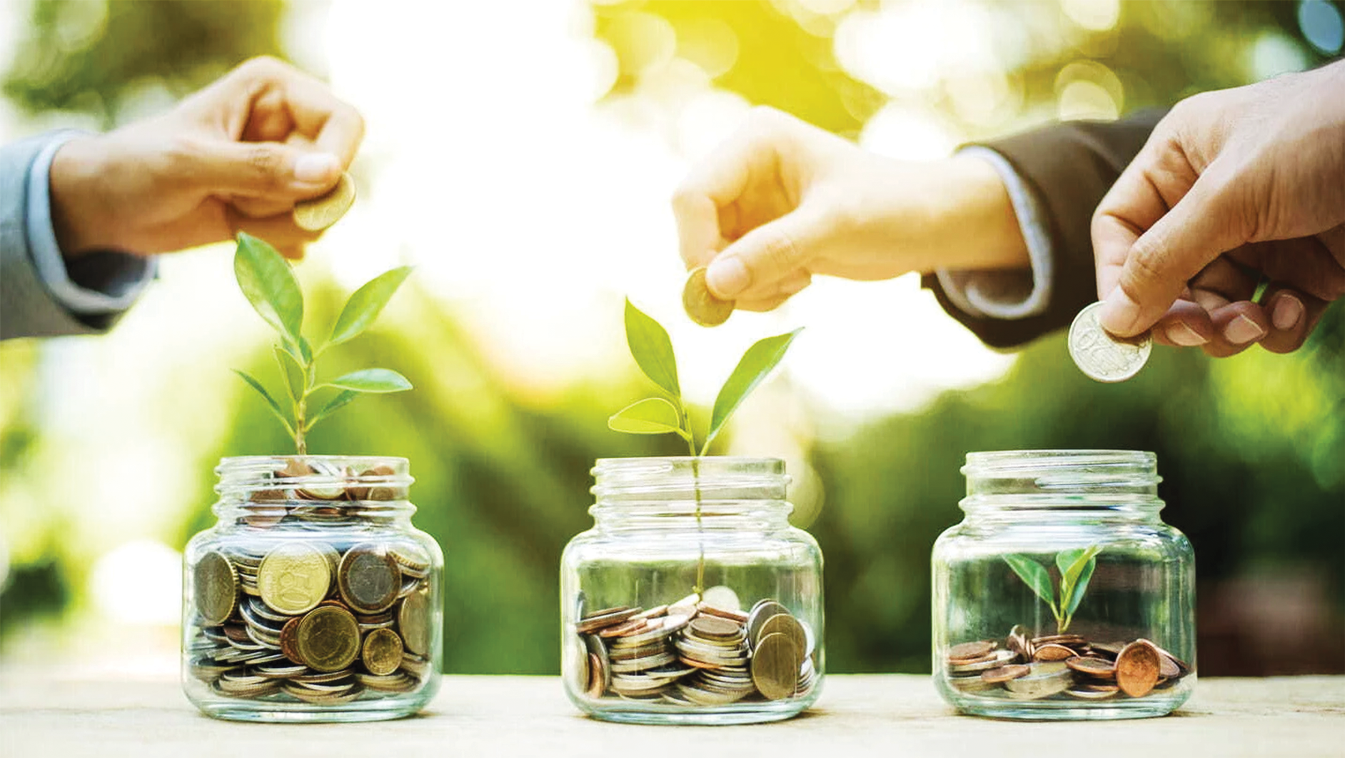 Ngoài ngân sách, Việt Nam cần huy động thêm 144 tỷ USD để đạt mục tiêu NET ZERO.