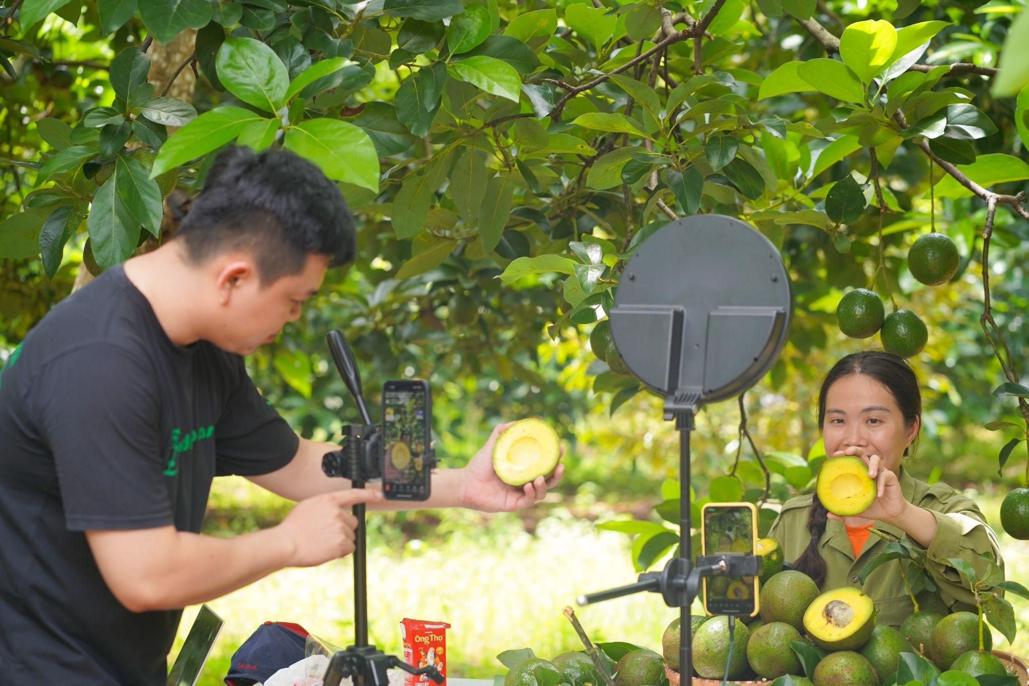 Am hiểu c&ocirc;ng nghệ v&agrave; xu hướng mua sắm tr&ecirc;n nền tảng Pg88ok ưu đãi hấp dẫn điện tử, FoodMap lu&ocirc;n Pg88vn Trang Chủ Chính Thức nội dung v&agrave; h&igrave;nh ảnh sinh động cho c&aacute;c phi&ecirc;n livestream nhằm gia tăng tương t&aacute;c.