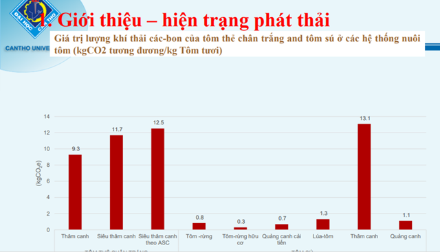 6PG88VN