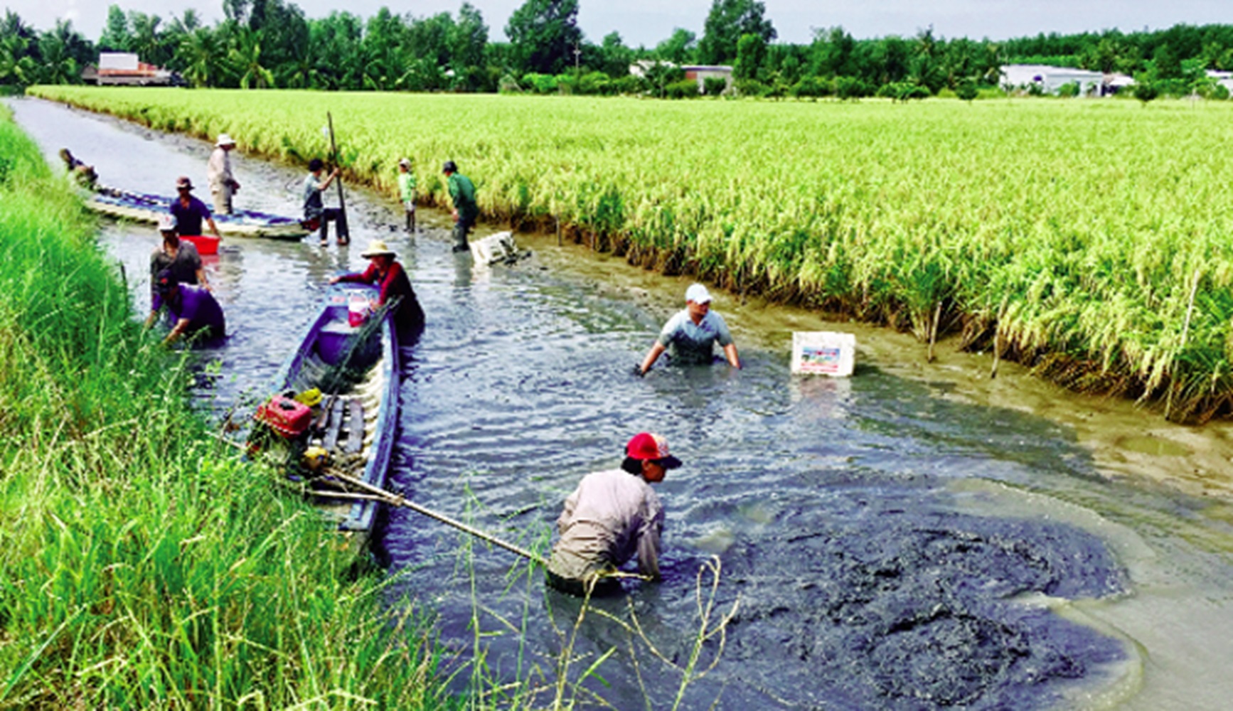 Phát triển ngành hàng tôm ít phát thải và bền vững