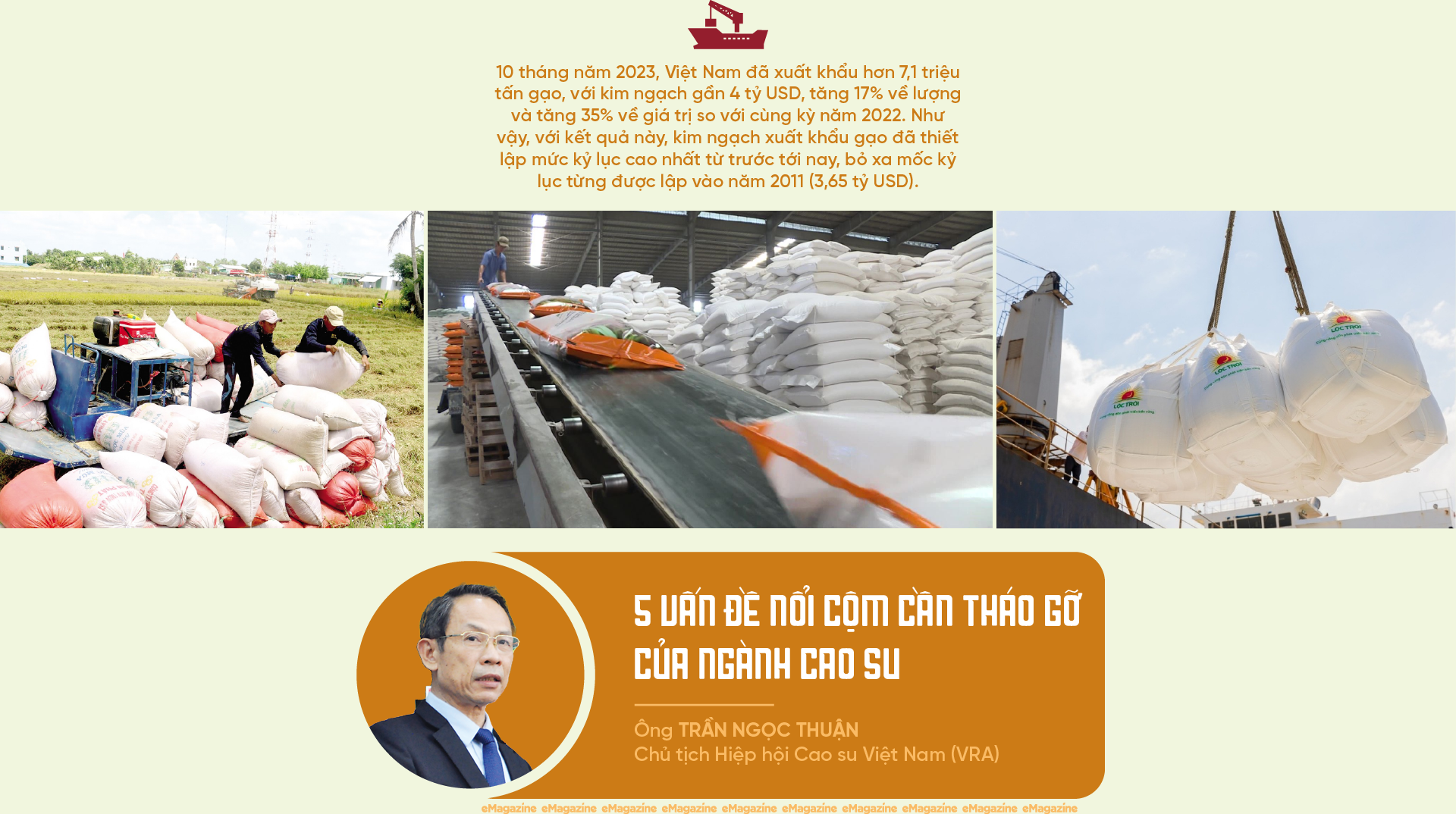 6PG88VN