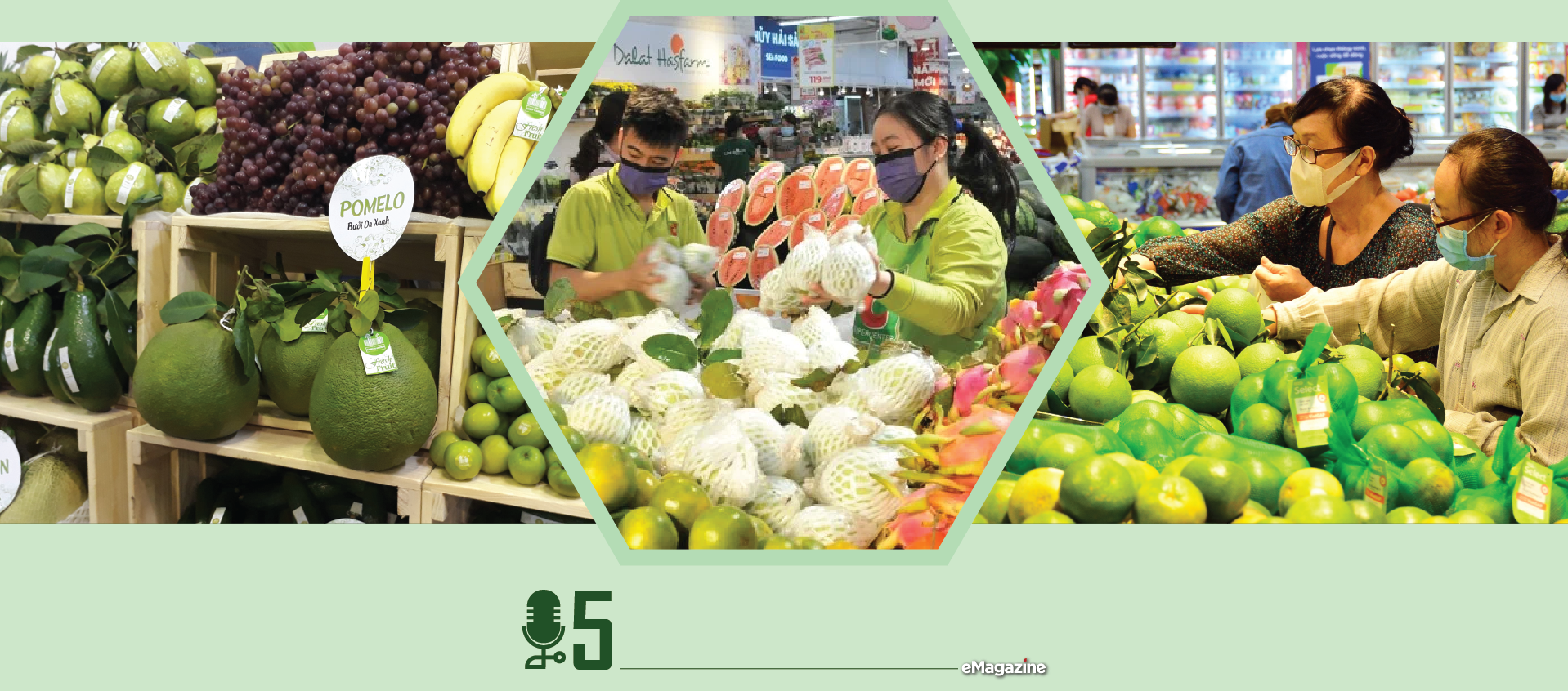 6PG88VN