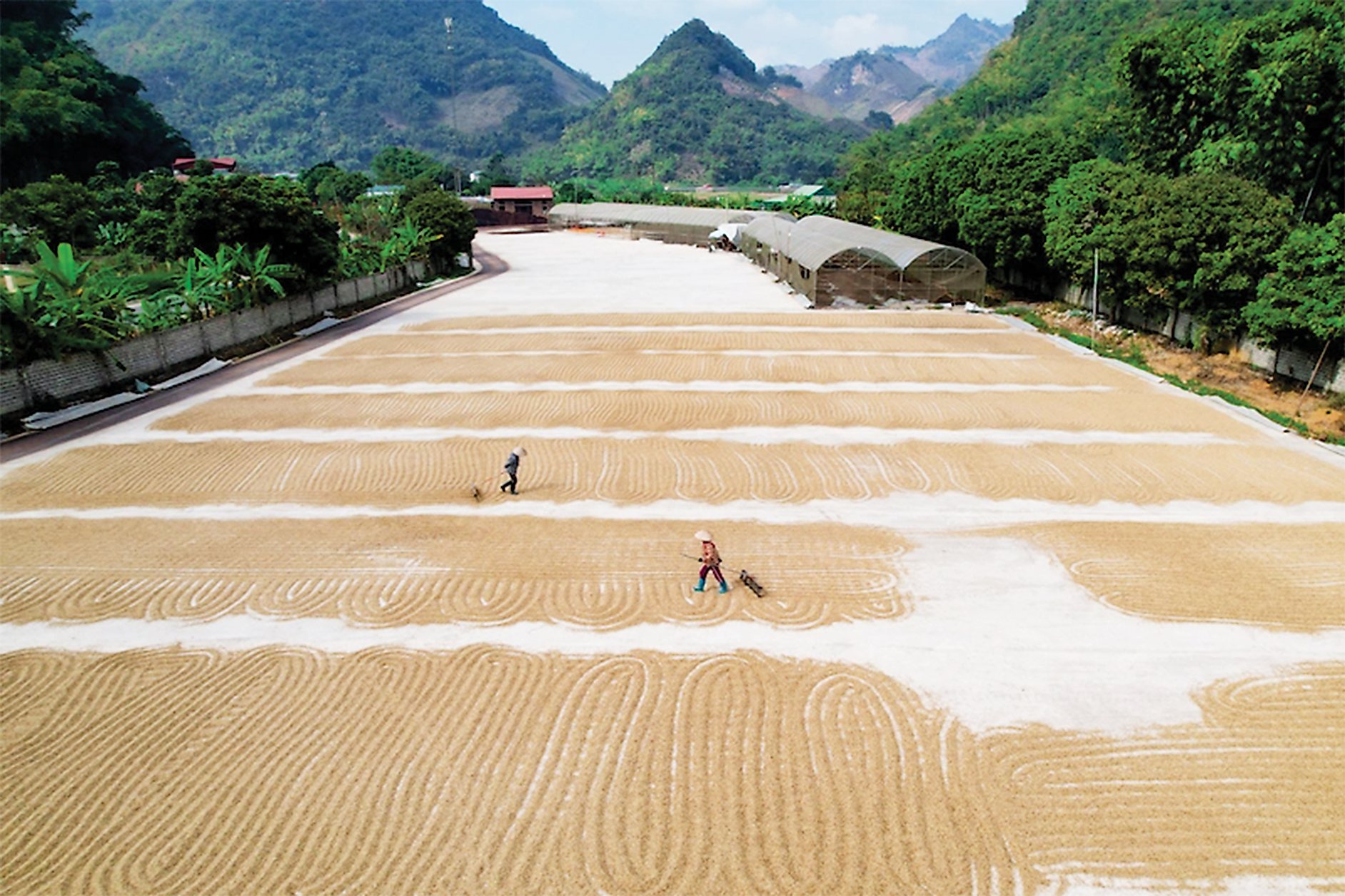 N&ocirc;ng nghiệp v&agrave; n&ocirc;ng th&ocirc;n cần phải chuyển đổi theo hướng Link Trang Chủ PG88.Com Mới #2026 tuần ho&agrave;n, giảm ph&aacute;t thải