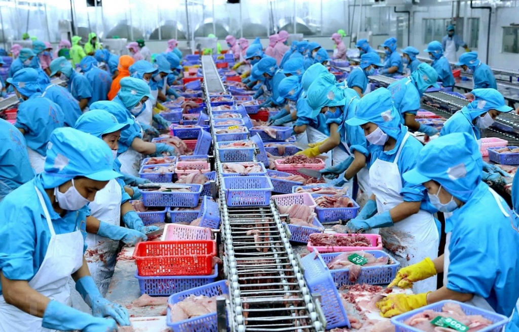 Nhóm thuỷ sản và thuỷ sản chế biến là các mặt hàng có nguy cơ bị mất thị trường tại Canada. Ảnh minh họa.