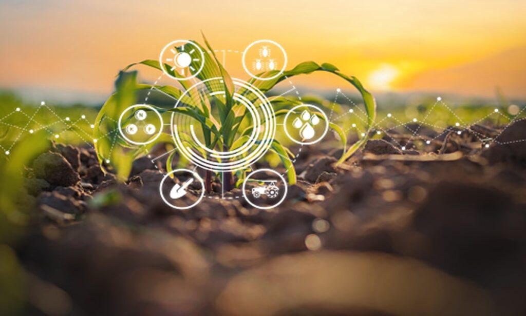 Nông dân Đông Nam Á ứng dụng agritech như thế nào để thúc đẩy sản xuất và giảm tác động đến môi trường