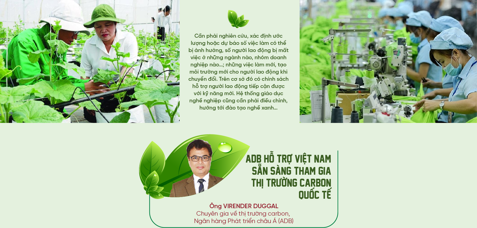 6PG88VN