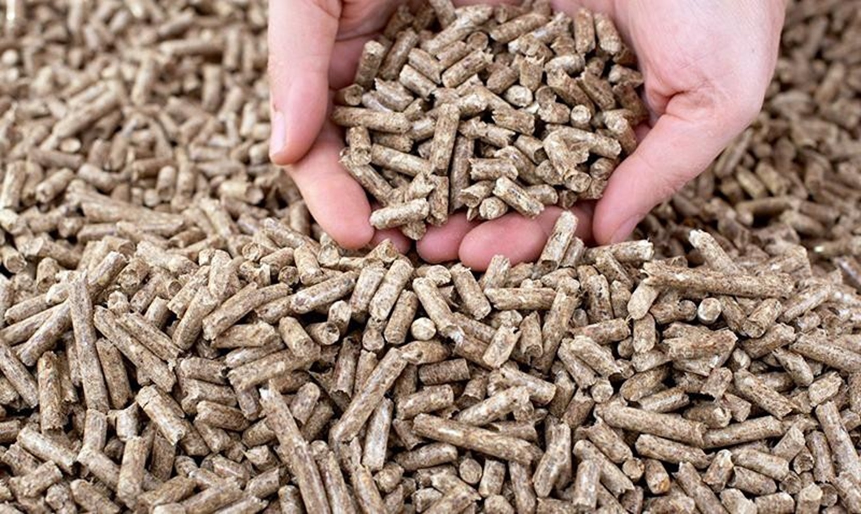 Pg88 com chính chủ viên nén đã chững lại và suy giảm.