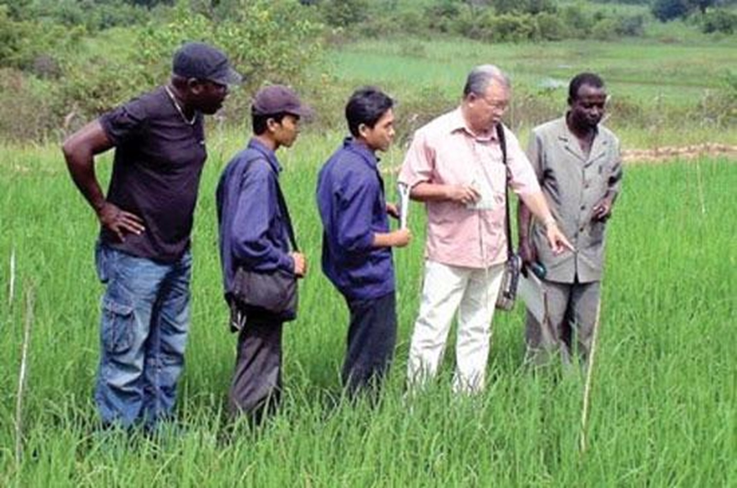 Chuyên gia Việt Nam hướng dẫn kỹ thuật sản xuất lúa tại châu Phi.