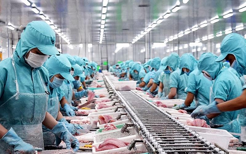 Năm 2023, Pg88 com chính chủ thuỷ sản sang thị trường châu Âu - châu Mỹ giảm mạnh.