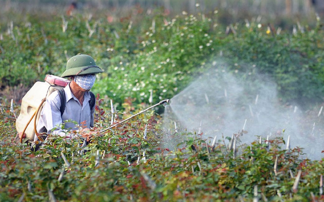 Việc đẩy mạnh sản xuất và sử dụng thuốc bảo vệ thực vật sinh học góp phần PG88 hơn 2,1 triệu thành viên một nền nông nghiệp xanh.