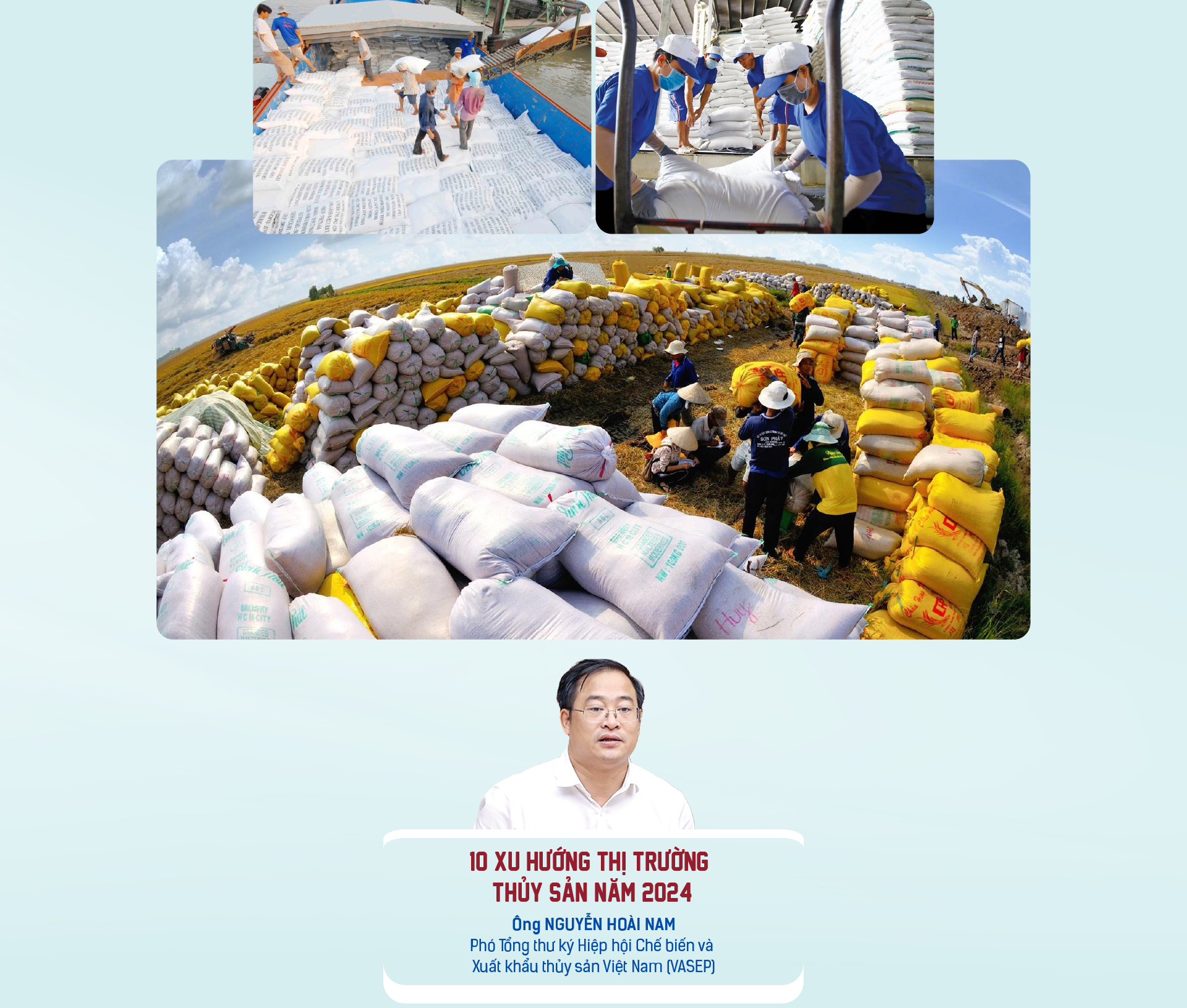 6PG88VN