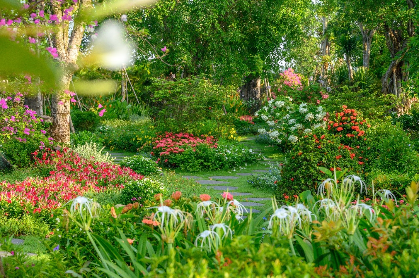 Ảnh thực tế một g&oacute;c dự &aacute;n Ecovillage Saigon River với 200 loại hoa nở quanh năm.