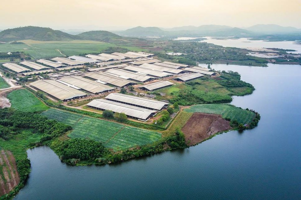 Năm 2020, Trang trại TH đã được Liên minh Kỷ lục Thế giới (World Records Union) chứng nhận đạt kỷ lục “Cụm trang trại chăn nuôi và chế biến sữa Link Đăng Nhập PG88 Chính Thức 2026; cao khép kín lớn nhất thế giới.”