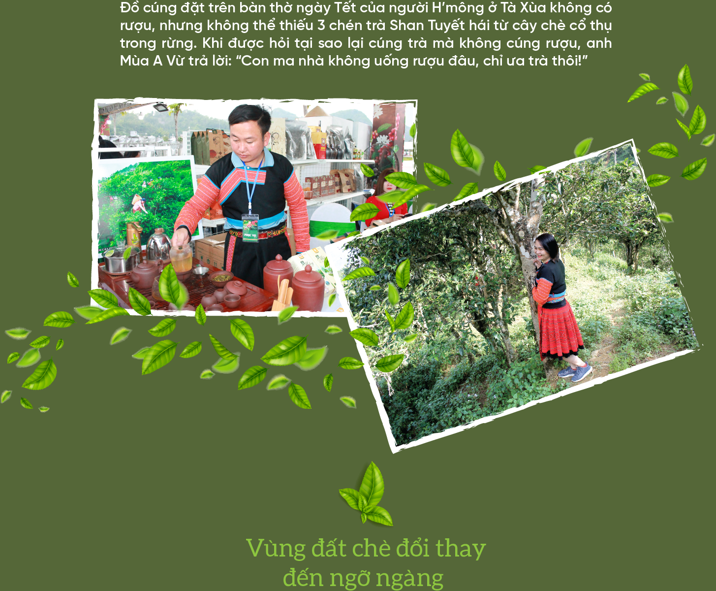 6PG88VN