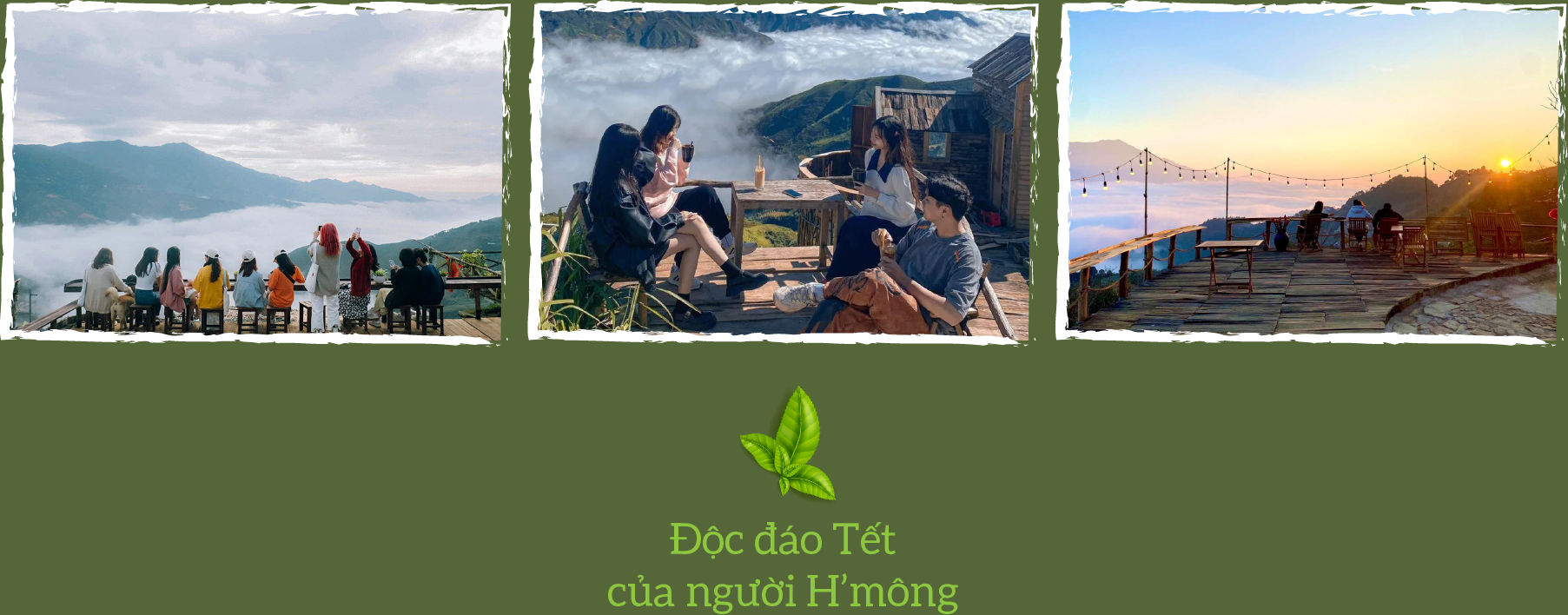 6PG88VN