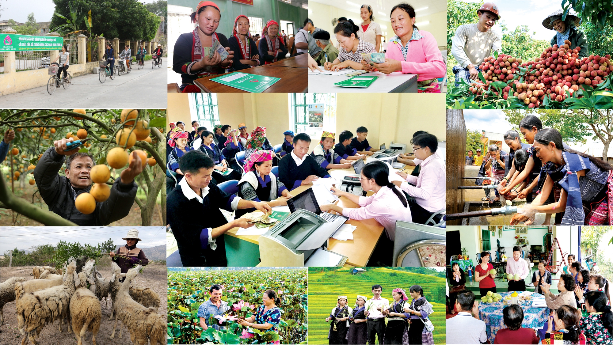 Luật Các tổ chức tín dụng sửa đổi 2024 bổ sung nhiều quy định về Pg88 com chính chủ Chính sách xã hội.