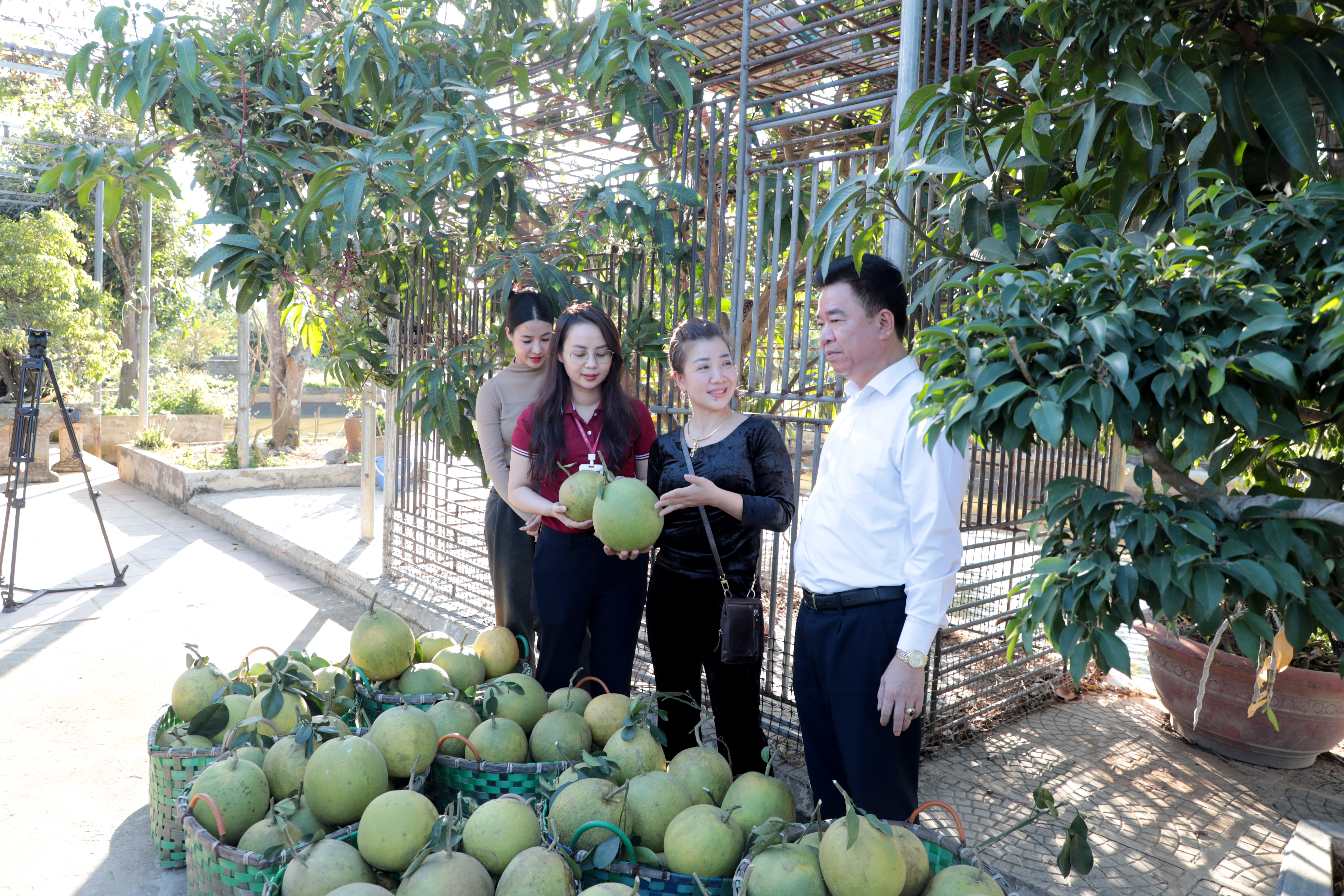 Một dự &aacute;n n&ocirc;ng nghiệp sạch ở Mường Nh&eacute; vay vốn của Agribank. Ảnh: Đăng Khoa