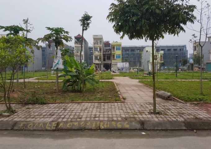 Ảnh minh họa.
