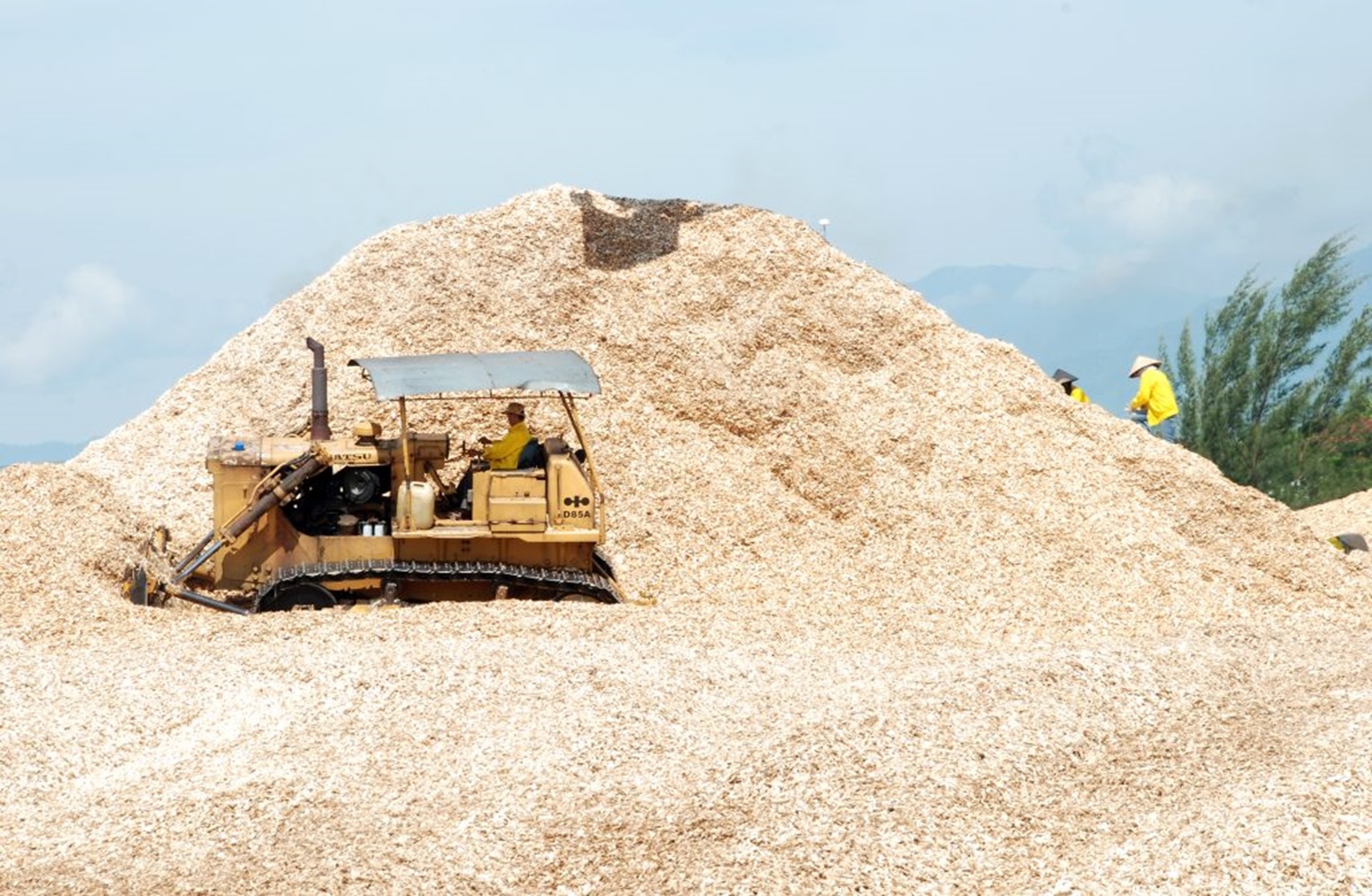 Dăm gỗ Pg88 com chính chủ tại Công ty Hào Hưng (Quảng Ninh). 